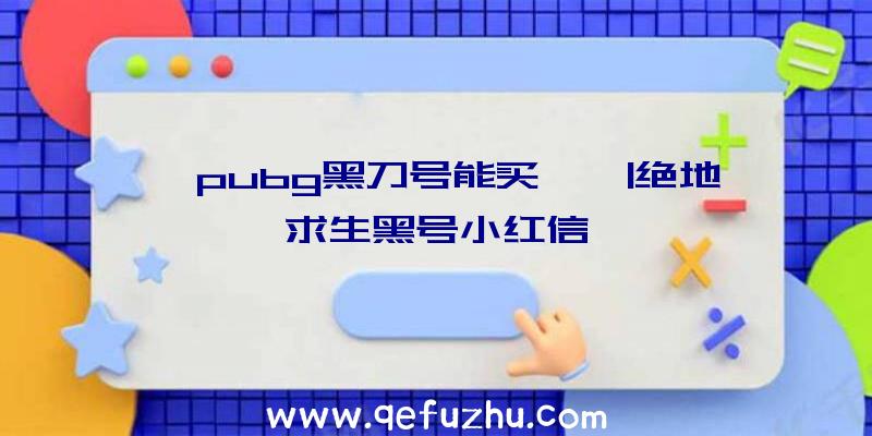 「pubg黑刀号能买嘛」|绝地求生黑号小红信